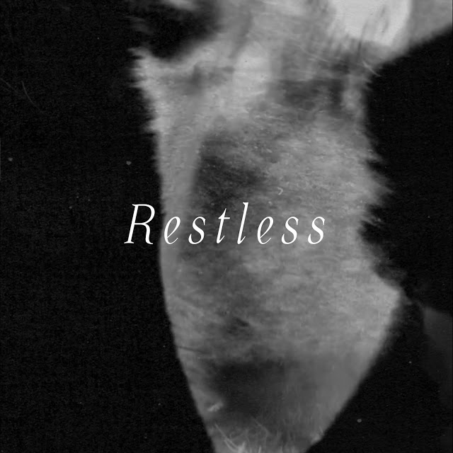 Os FIRST estão inquietos no novo "Restless"