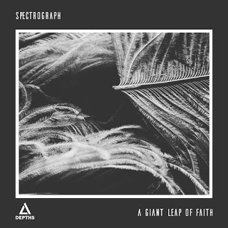Spectrograph-a-giant-leap-of-faith