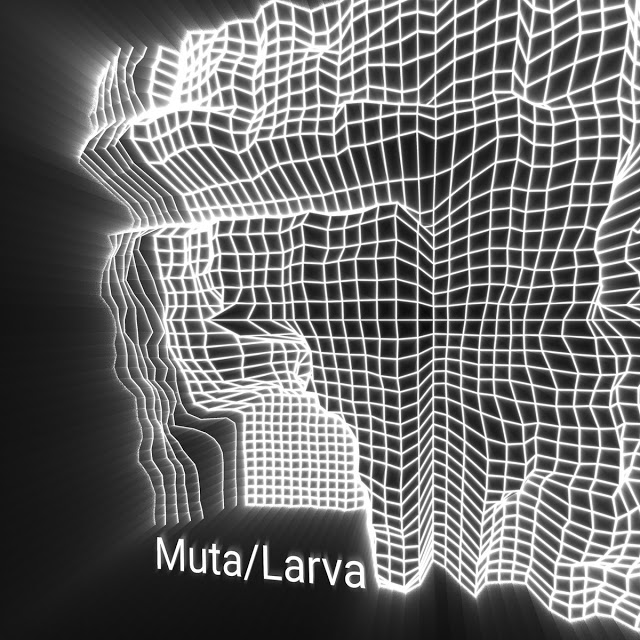 Eletrónica barroca e industrial em 'Muta​/​Larva' de Simon Lalli