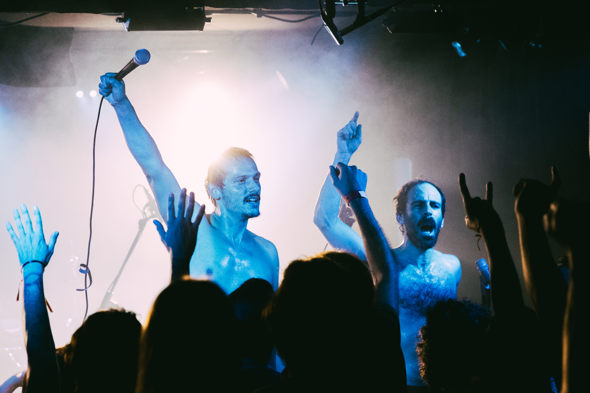 Baleia Baleia Baleia